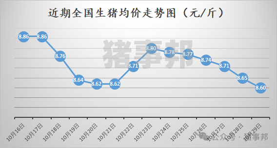 10月29日猪价汇总（均价连跌6天！）